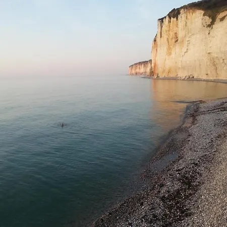 فندق مبيت وإفطار La Mare Aux Canards Sassetot-le-Mauconduit