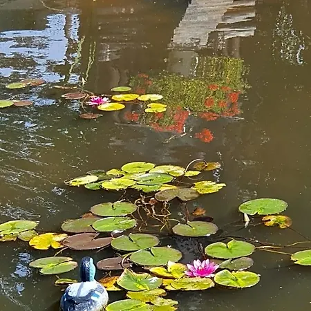La Mare Aux Canards 3*