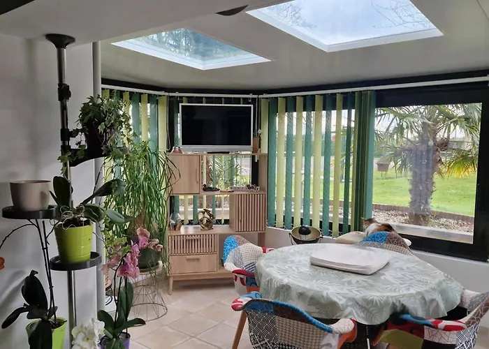 Couette-café La Mare Aux Canards